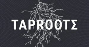 比特币Taproot升级和Ergo西格玛协议