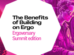 开发者谈在Ergo上构建智能合约dApp的益处